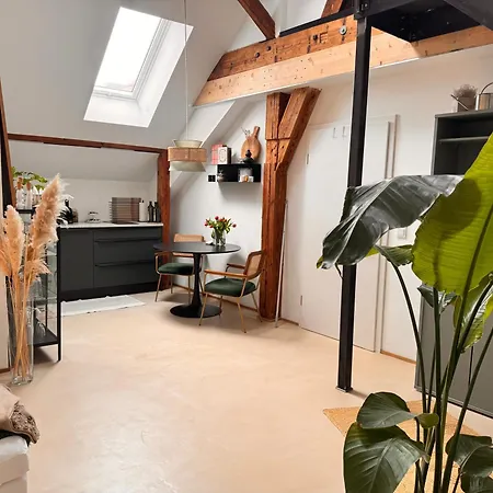 Urban Loft I Stilvoll Wohnen In Historischer Textilfabrik In Zentraler Lage Von Landau Apartmán